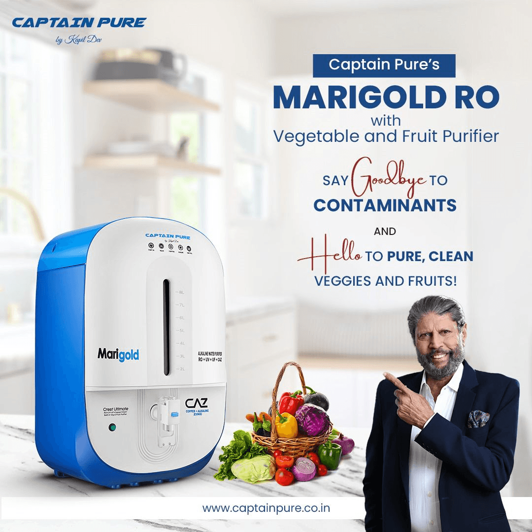 Marigold with Vegetable Purifier